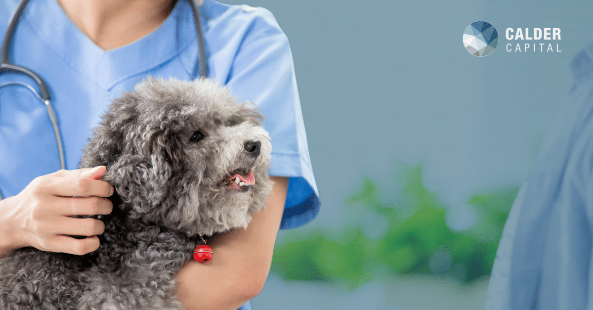 "Veterinarian holding a fluffy grey dog in their arms, with Calder Capital logo in the top right corner. The veterinarian is wearing a blue scrubs, and the dog is looking happy and content. The background is blurred, highlighting the focus on the veterinarian and the dog."